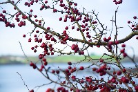 2017-11-01_Roadtrip go west_81_medium.jpg 2017-11-01_Roadtrip go west_81_medium.jpg